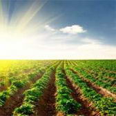 agricoltura-29