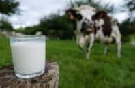 Fedagri interviene sul caso delle quote latte