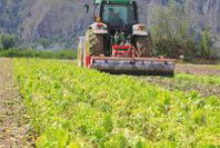Cinquemila macchine agricole a rischio rottamazione in Bergamasca