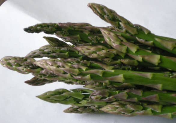 asparagi