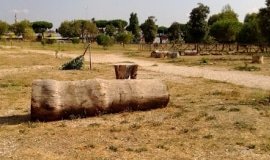 Gesti di vandalismo e alberi distrutti al Parco della Garbatella: colpiti anche gli orti urbani - BioNotizie.com