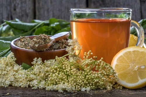 Gli ingredienti migliori per le tue tisane dimagranti - ingredienti tisane dimagranti - BioNotizie.com Gli ingredienti migliori per le tue tisane dimagranti - ingredienti tisane dimagranti - BioNotizie.com