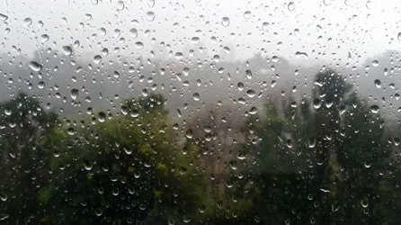 Come risolvere l'umidità in casa e il problema della condensa alle finestre - BioNotizie.com
