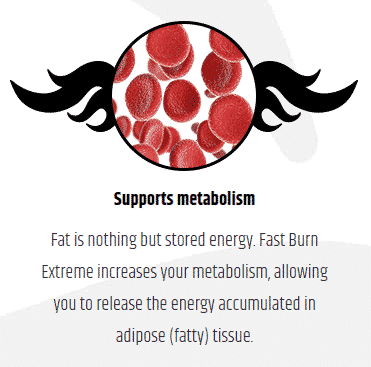 How to Easily Get that Perfect Body with Fast Burn Extreme - Fast Burn Extreme - BioNotizie.com fast burn extreme